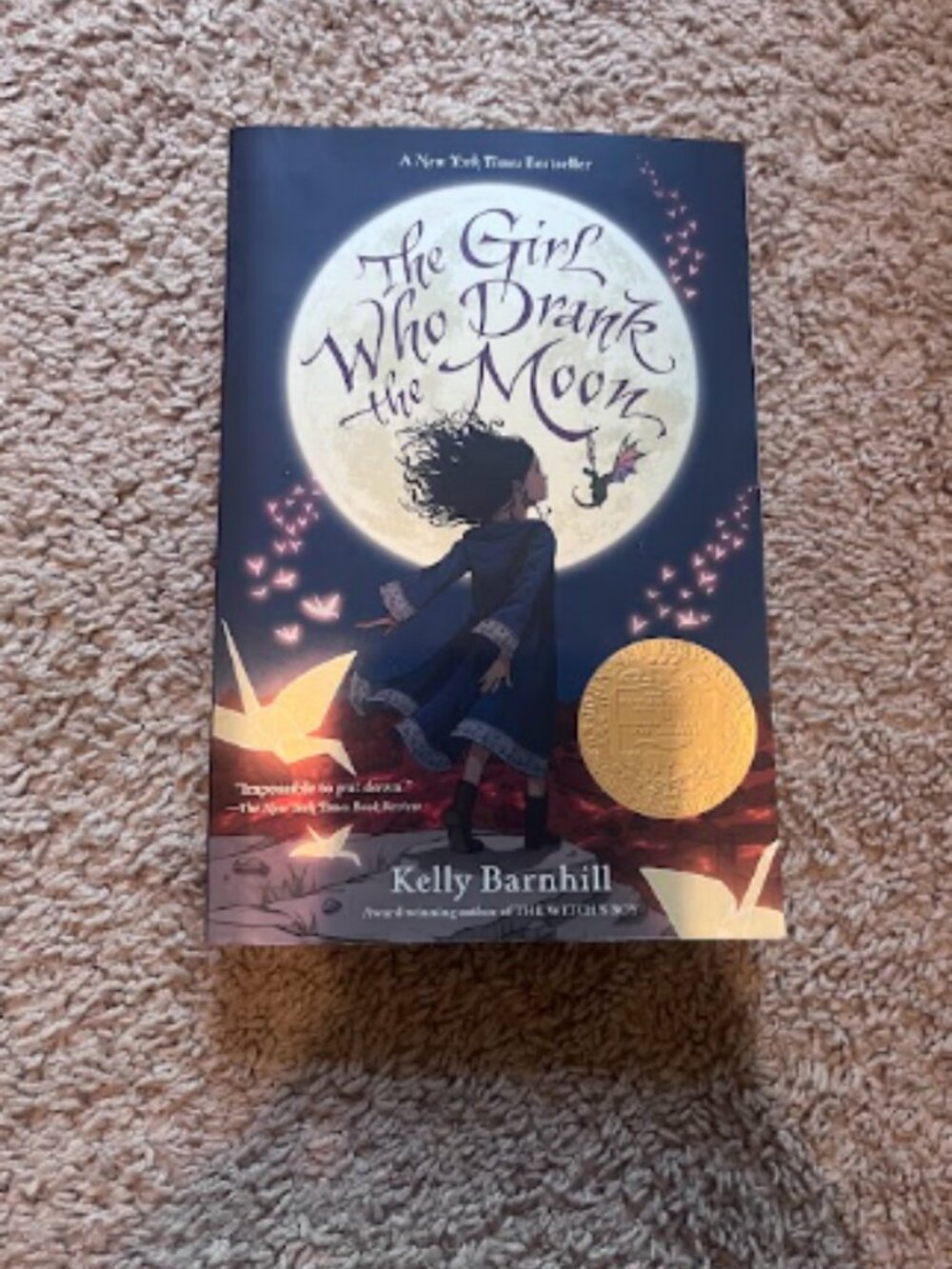 The Girl Who Drank The Moon